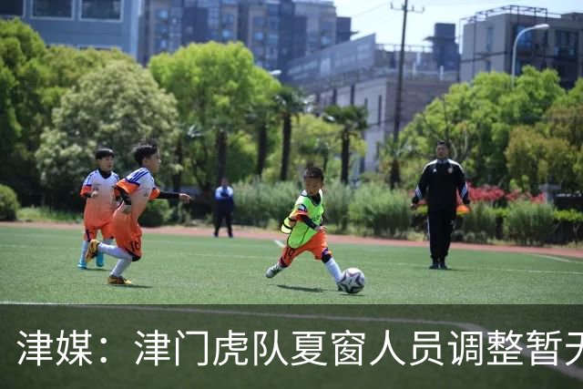 津媒：津门虎队夏窗人员调整暂无定论，石炎拉伤不能参与合练