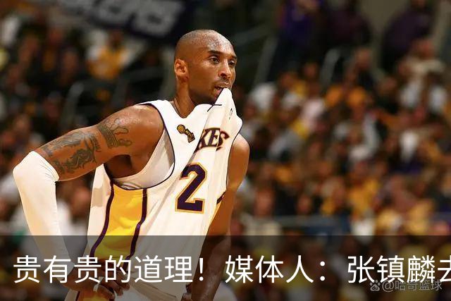 贵有贵的道理！媒体人：张镇麟去年加盟上海转会费投入超5000万